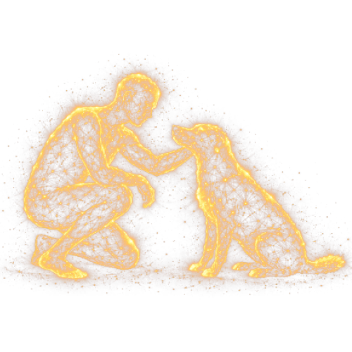 Characters & Creatures